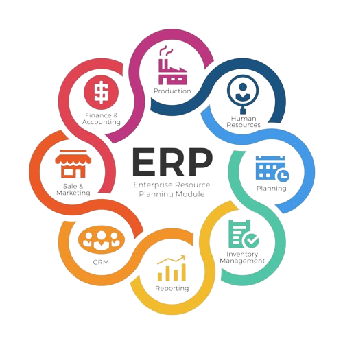 ERP Customization